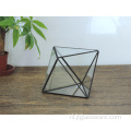 Handgemaakte hoge kwaliteit geometrische terrarium glazen container